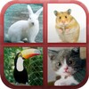 Animals Quiz