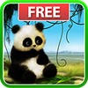 Animated Panda Live Wallpaper