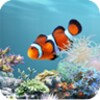 AniPet Aquarium LiveWallpaper