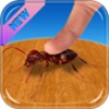 Ant Smash Maina