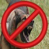 Anti Bark