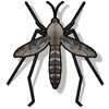 Anti Mosquito Sound Prank