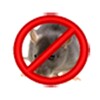 Anti Ratas