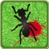 Ants Killer