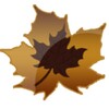 Antumn Leaf Water Drops Theme