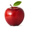 Apple Squares