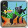 Aquarium Fish