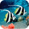 Aquarium Free