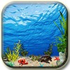 Aquarium Wallpaper