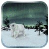 Arctic Home