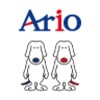 Ario