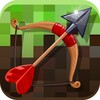Arrow Craft 3D