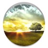 Asus Wallpapers