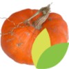 Au Potager