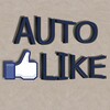 Auto I Like Pro
