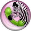 AutoCall