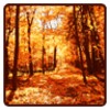 Autumn Wallpaper