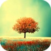 Awesome Land Free