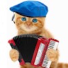 Awesome Talking Cats