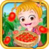 Baby Hazel Tomato Farmings