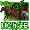 Baby Horse Pet
