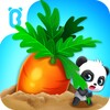 Baby Panda