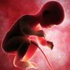 Baby Run 4D – Run 1 2 3