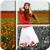 Background+