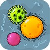 Bacteria