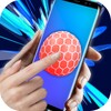 Ball Toy