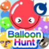 Balloon Hunt