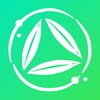 Bambú - Meditación Y Mindfulness