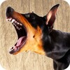 Barking Dog Ringtones