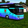 BBL BD Skin Mod