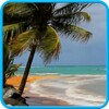 Beach And Sea