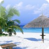 Beach Wallpapers For Chat