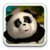 Bear Live Wallpaper Free