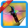 Beautiful HD Wallpapers