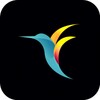 Bebird