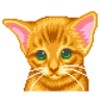 Bengal Cat Tamagotchi