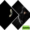 Best Black Wallpapers