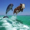 Best Funny Pics