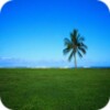 BestNatureWallpapersHD