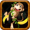 Bhaag Monkey Bhaag