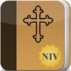 Bible NIV