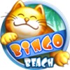 Bingo Beach
