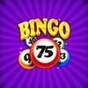 Bingo Craze