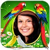 Bird 3D Live Wallpaper