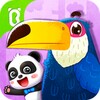 Bird Kingdom