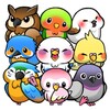 Bird Life